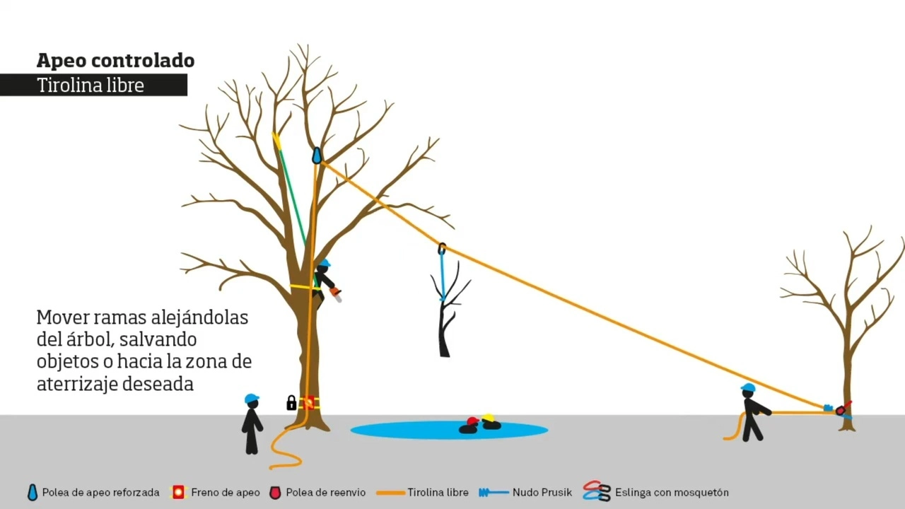 Apeo controlado con Tirolina Libre