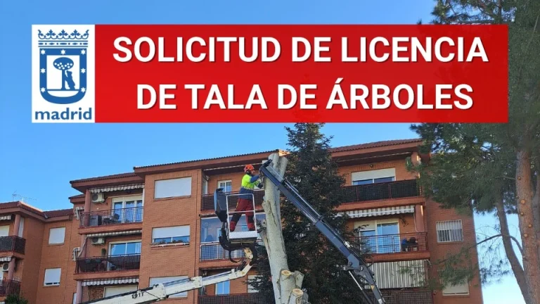 Solicitud de permiso para tala de árboles Madrid