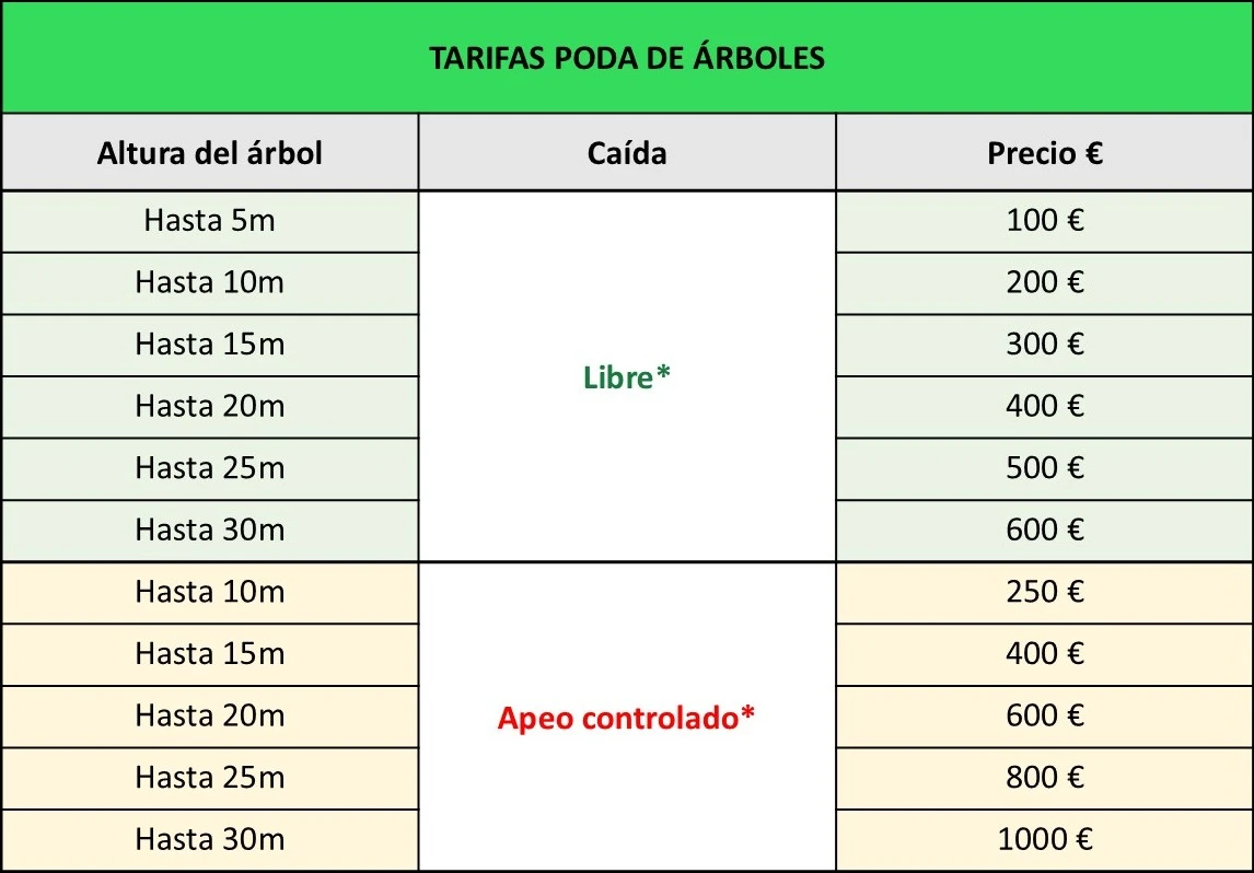 Precio poda árboles