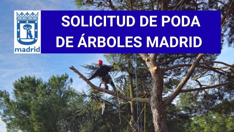 Solicitud poda de árboles Madrid