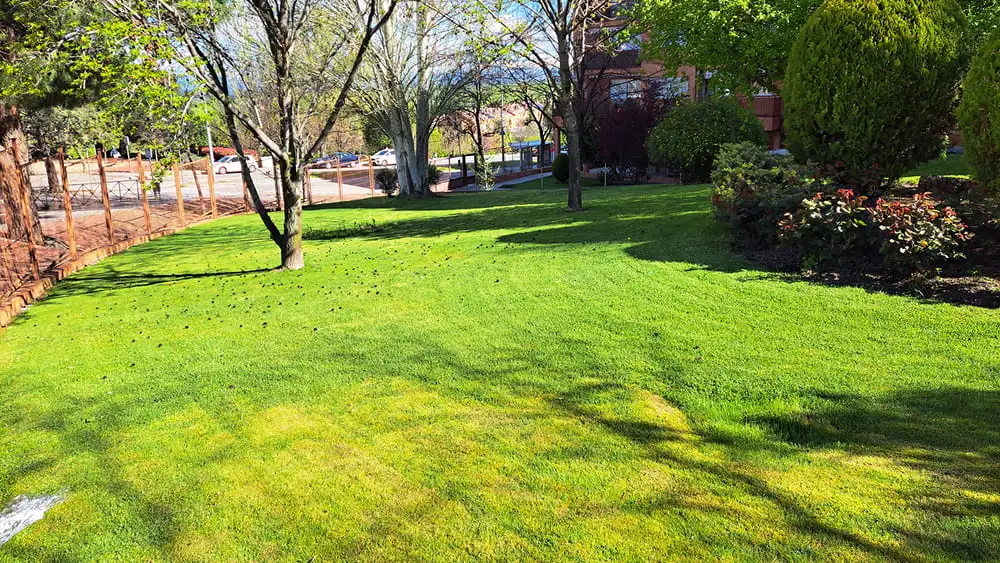 Desbroce de parcelas y fincas Desbroce de parcelas y fincas