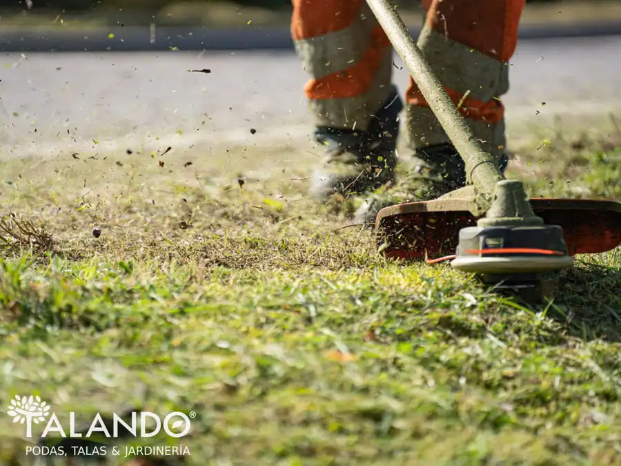 Desbroce de parcelas Desbroce de parcelas