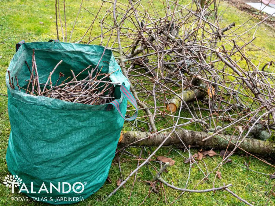 Desbroces de fincas Desbroces de fincas