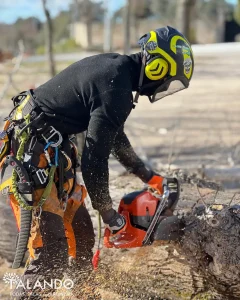 Empresa de desbroces de fincas Empresa de desbroces de fincas
