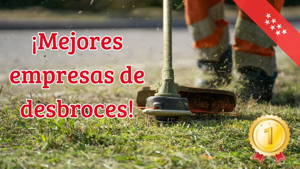Empresas de desbroces Madrid 1 Empresas de desbroces Madrid