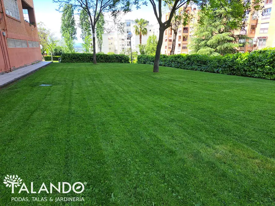 Empresas de desbroces Madrid Empresas de desbroces Madrid