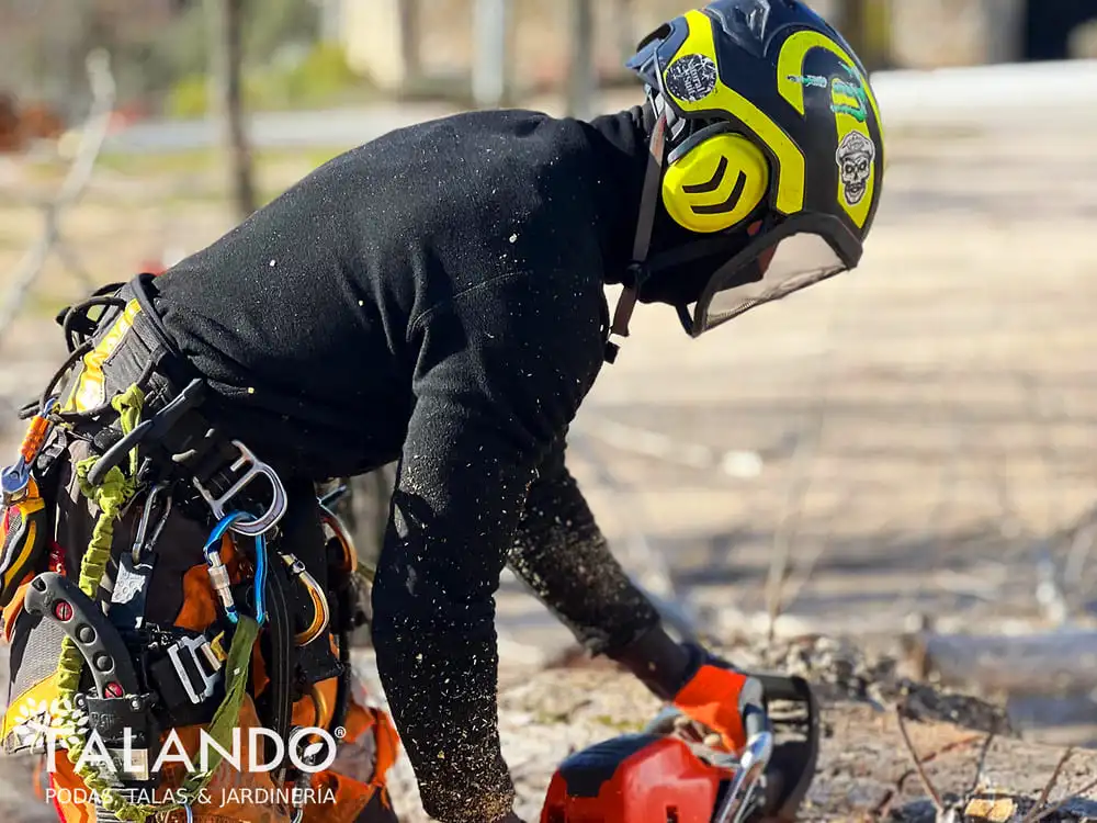 Precio m2 desbroce y limpieza del terreno Precio m2 desbroce y limpieza del terreno