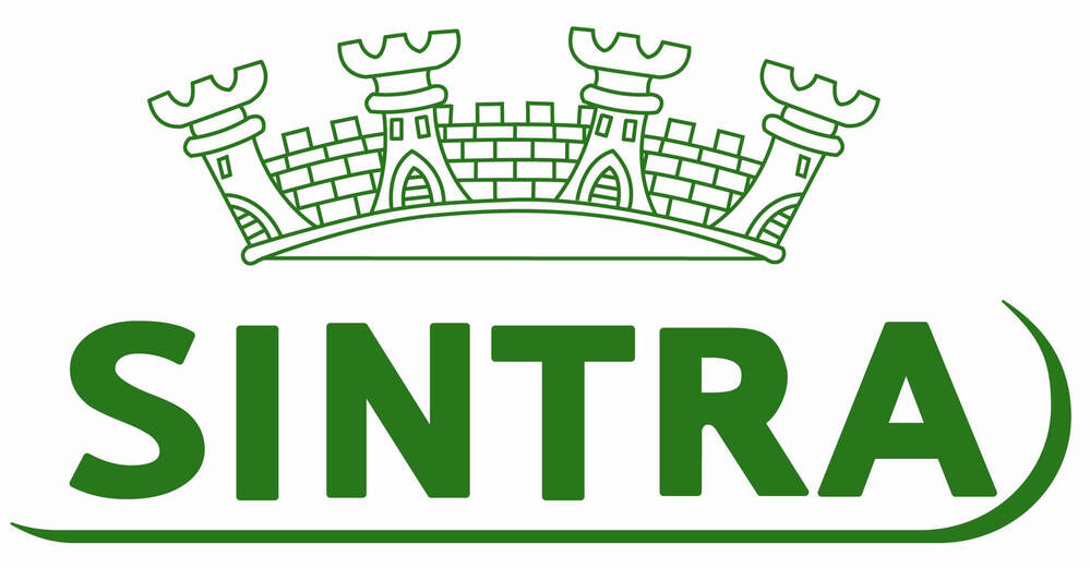 SINTRA SA