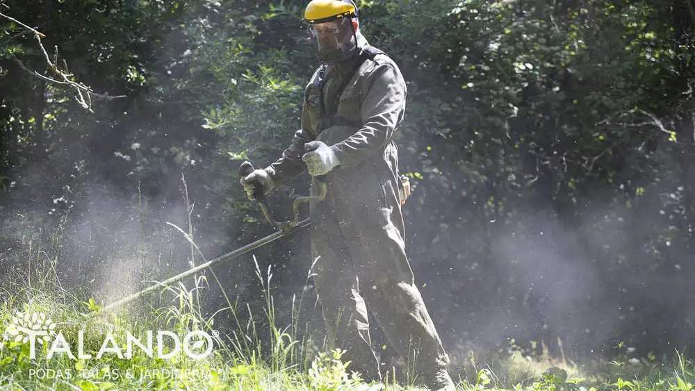 cuanto cuesta allanar un terreno de 1000m2 cuanto cuesta allanar un terreno de 1000m2