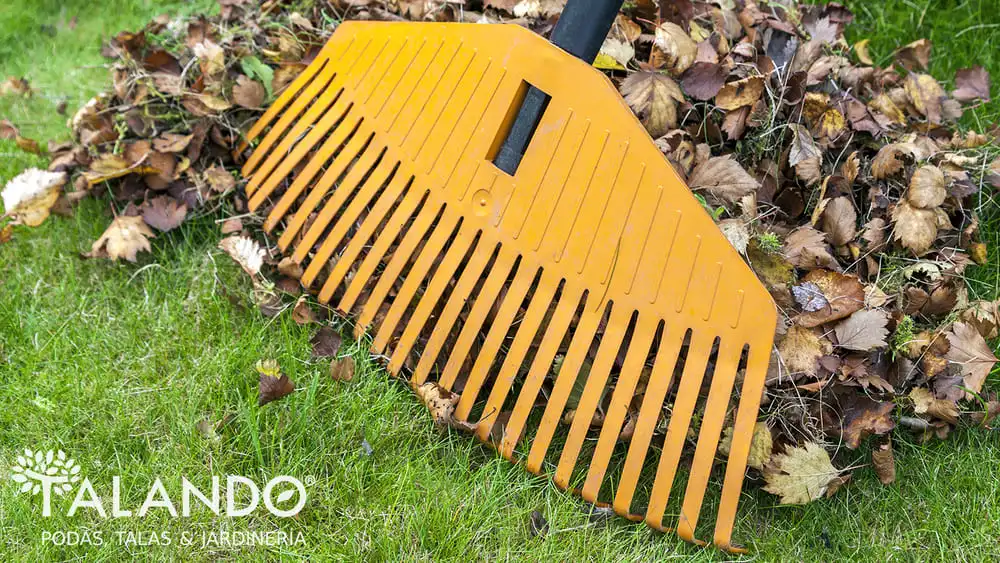 limpieza de parcelas precio limpieza de parcelas precio